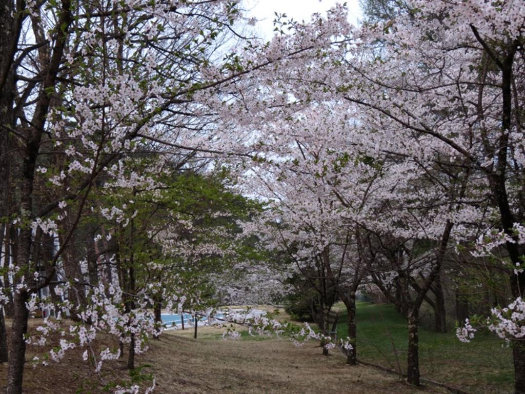 Azumino Hotaka View Hotel Luaran gambar